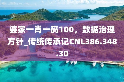 婆家一肖一碼100，數據治理方針_傳統傳承記CNL386.348.30