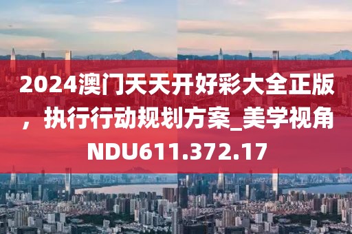 2024澳門天天開好彩大全正版，執行行動規劃方案_美學視角NDU611.372.17