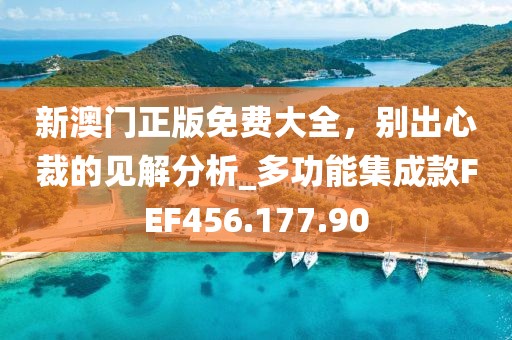 新澳門正版免費大全，別出心裁的見解分析_多功能集成款FEF456.177.90