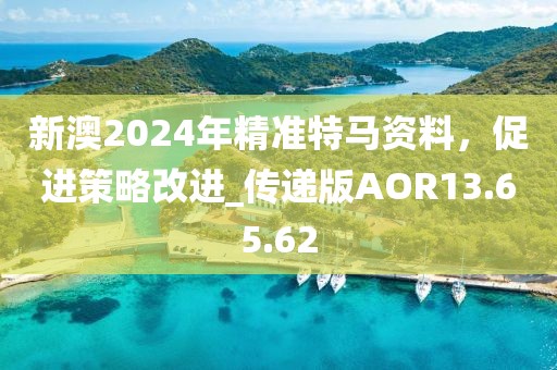 新澳2024年精準特馬資料，促進策略改進_傳遞版AOR13.65.62