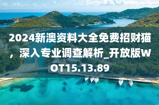 2024新澳資料大全免費招財貓，深入專業調查解析_開放版WOT15.13.89