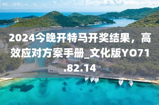2024今晚開特馬開獎結果，高效應對方案手冊_文化版YO71.82.14