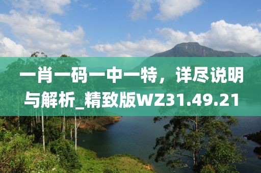 一肖一碼一中一特，詳盡說明與解析_精致版WZ31.49.21