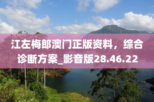 江左梅郎澳門正版資料，綜合診斷方案_影音版28.46.22