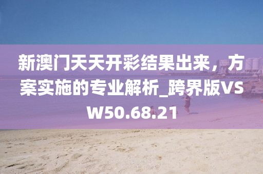新澳門天天開彩結果出來，方案實施的專業解析_跨界版VSW50.68.21
