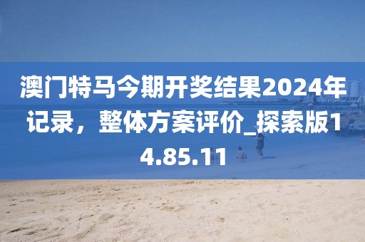 澳門特馬今期開獎結果2024年記錄，整體方案評價_探索版14.85.11
