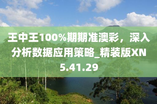 王中王100%期期準澳彩，深入分析數據應用策略_精裝版XN5.41.29