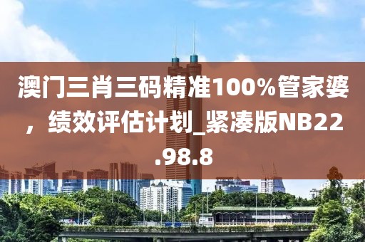 澳門三肖三碼精準100%管家婆，績效評估計劃_緊湊版NB22.98.8