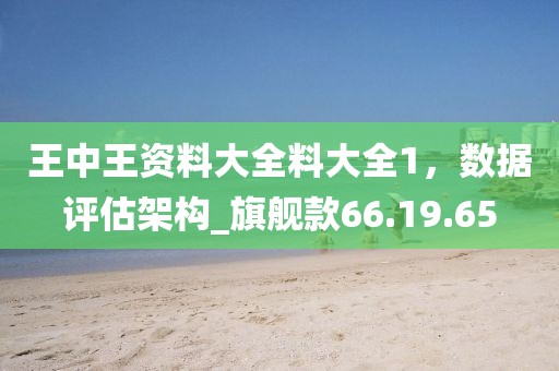 王中王資料大全料大全1，數據評估架構_旗艦款66.19.65