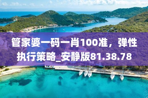 管家婆一碼一肖100準，彈性執行策略_安靜版81.38.78