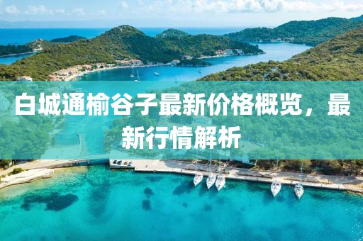 白城通榆谷子最新價格概覽，最新行情解析