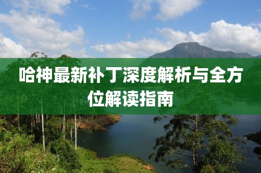 哈神最新補丁深度解析與全方位解讀指南