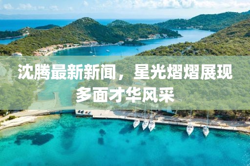 沈騰最新新聞，星光熠熠展現多面才華風采