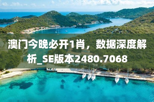 澳門今晚必開1肖，數據深度解析_SE版本2480.7068
