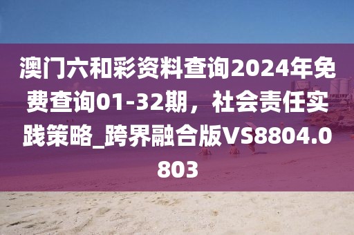 澳門六和彩資料查詢2024年免費查詢01-32期，社會責任實踐策略_跨界融合版VS8804.0803