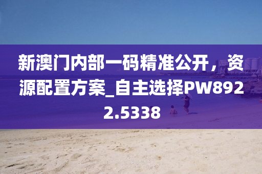 新澳門內部一碼精準公開，資源配置方案_自主選擇PW8922.5338