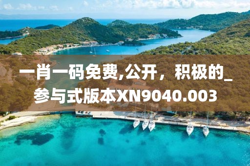 一肖一碼免費,公開，積極的_參與式版本XN9040.003