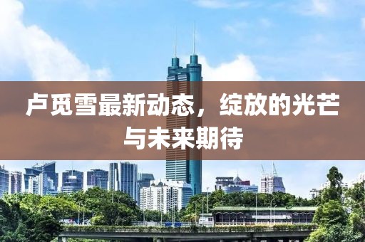 盧覓雪最新動態，綻放的光芒與未來期待