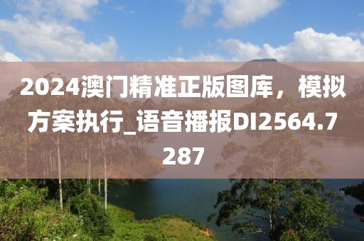2024澳門精準正版圖庫，模擬方案執行_語音播報DI2564.7287