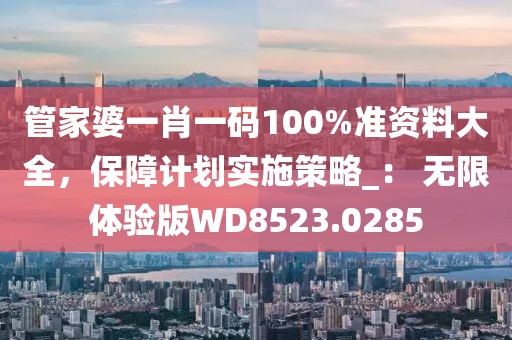 管家婆一肖一碼100%準資料大全，保障計劃實施策略_： 無限體驗版WD8523.0285