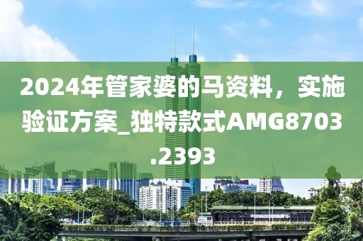 2024年管家婆的馬資料，實施驗證方案_獨特款式AMG8703.2393