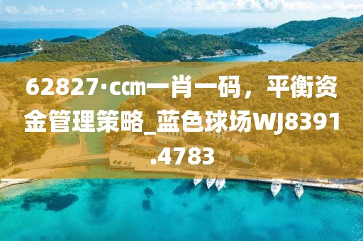 62827·c㎝一肖一碼，平衡資金管理策略_藍色球場WJ8391.4783