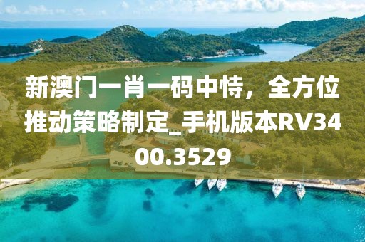 新澳門一肖一碼中恃，全方位推動策略制定_手機版本RV3400.3529