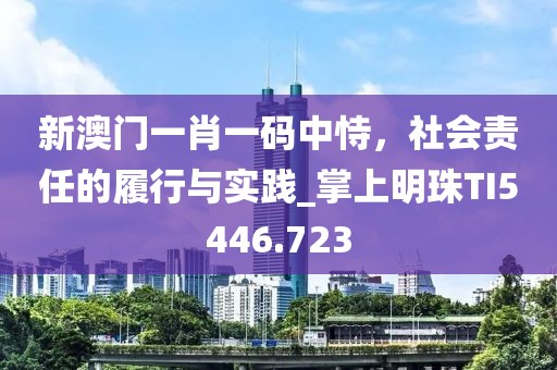 新澳門一肖一碼中恃，社會責任的履行與實踐_掌上明珠TI5446.723