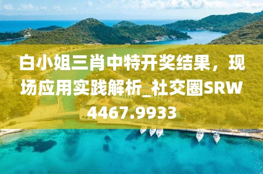 白小姐三肖中特開獎結果，現場應用實踐解析_社交圈SRW4467.9933