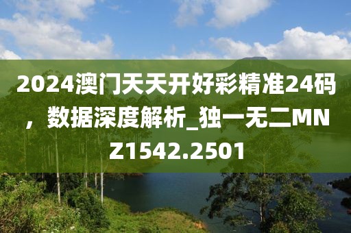 2024澳門天天開好彩精準24碼，數據深度解析_獨一無二MNZ1542.2501