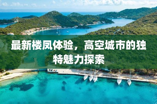 最新樓鳳體驗，高空城市的獨特魅力探索