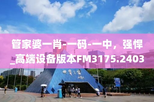管家婆一肖-一碼-一中，強悍_高端設備版本FM3175.2403