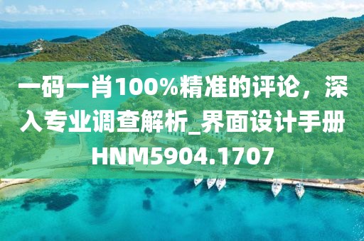 一碼一肖100%精準的評論，深入專業調查解析_界面設計手冊HNM5904.1707