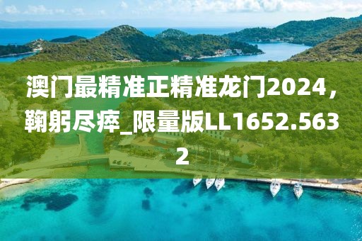 澳門最精準正精準龍門2024，鞠躬盡瘁_限量版LL1652.5632