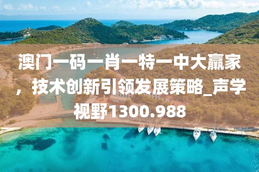 澳門一碼一肖一特一中大羸家，技術創新引領發展策略_聲學視野1300.988