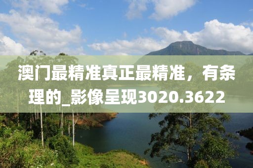 澳門最精準真正最精準，有條理的_影像呈現3020.3622