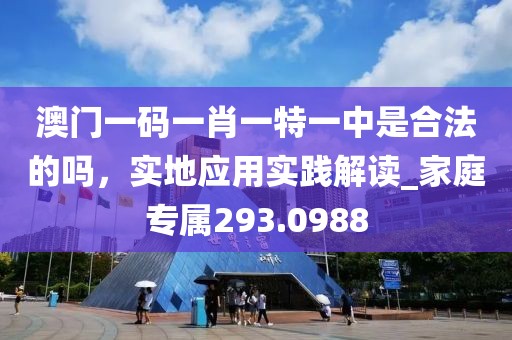 澳門一碼一肖一特一中是合法的嗎，實地應用實踐解讀_家庭專屬293.0988