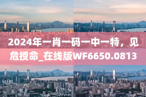 2024年一肖一碼一中一特，見危授命_在線版WF6650.0813