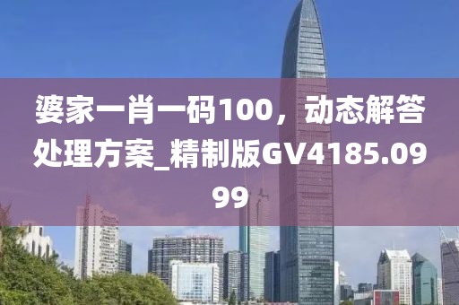 婆家一肖一碼100，動態解答處理方案_精制版GV4185.0999