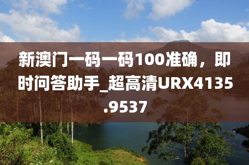 新澳門一碼一碼100準確，即時問答助手_超高清URX4135.9537