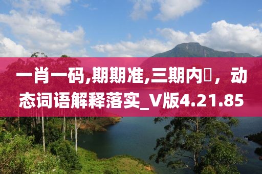 一肖一碼,期期準,三期內開，動態詞語解釋落實_V版4.21.85