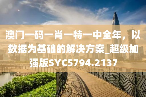 澳門一碼一肖一特一中全年，以數據為基礎的解決方案_超級加強版SYC5794.2137