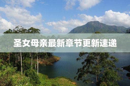 圣女母親最新章節更新速遞