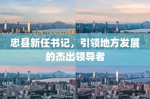 忠縣新任書記，引領地方發展的杰出領導者