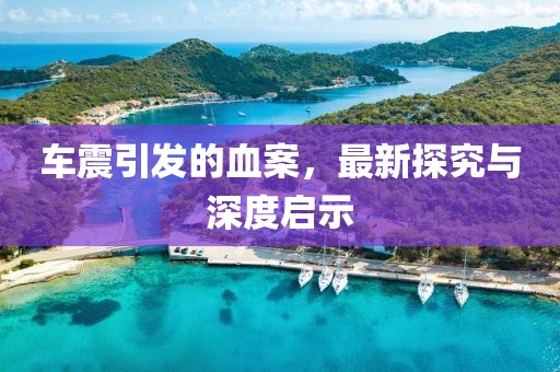 車震引發的血案，最新探究與深度啟示
