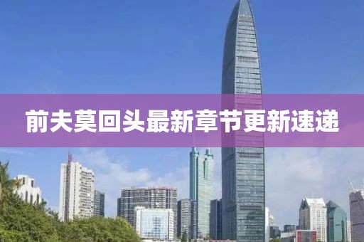 前夫莫回頭最新章節更新速遞
