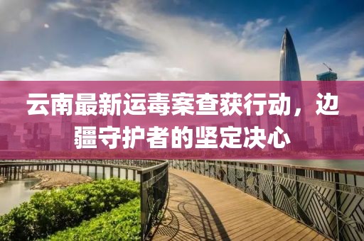 云南最新運毒案查獲行動，邊疆守護者的堅定決心