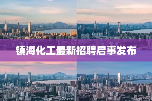 鎮?；ぷ钚抡衅竼⑹掳l布