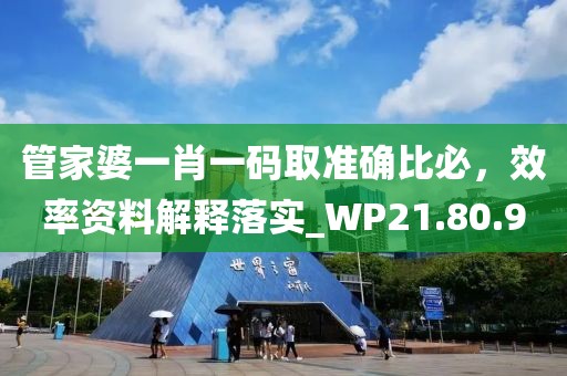 管家婆一肖一碼取準確比必，效率資料解釋落實_WP21.80.90