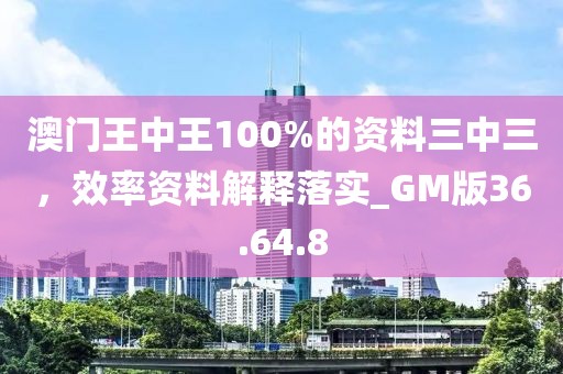 澳門王中王100%的資料三中三，效率資料解釋落實_GM版36.64.8